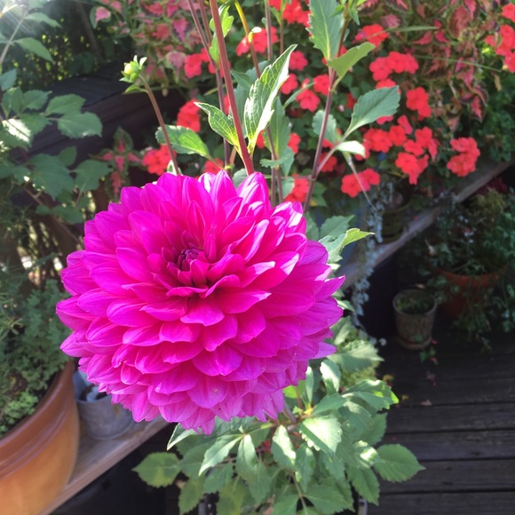 Bundle to save $$ - Picture 7 of 7